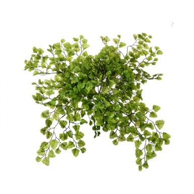 Maidenhair Fern Bush  - Themed Rentals - artificial maidenhair fern 